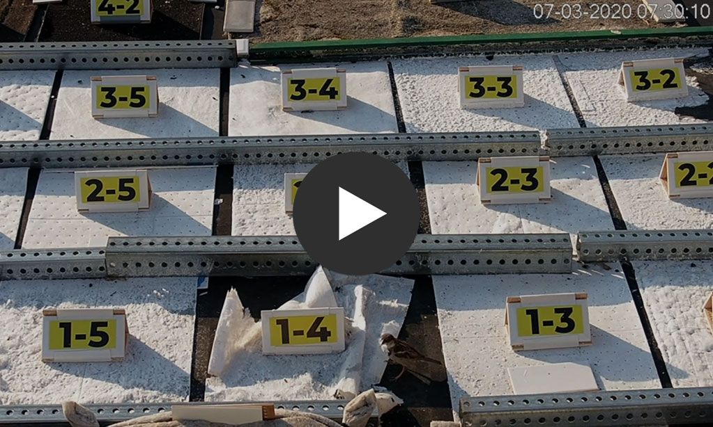 UV Degradation of Oil Spill Control Materials Explained