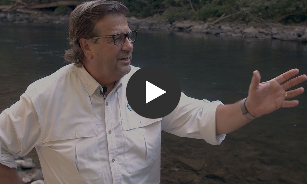 Oil Cleanup Innovations