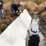 oil absorbent roll