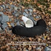 8" x 4' sock protects inlet pipe from contaminated stormwater discharge (SPL067)