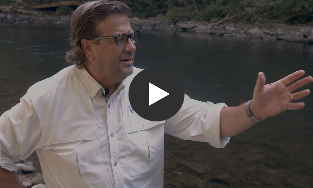 Oil Cleanup Innovations