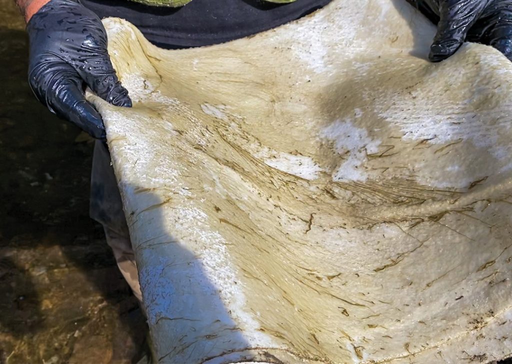 Oil Shammy Roll Eliminate Oil Sheen Without Chemicals