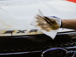 shammy towels for delicate surfaces